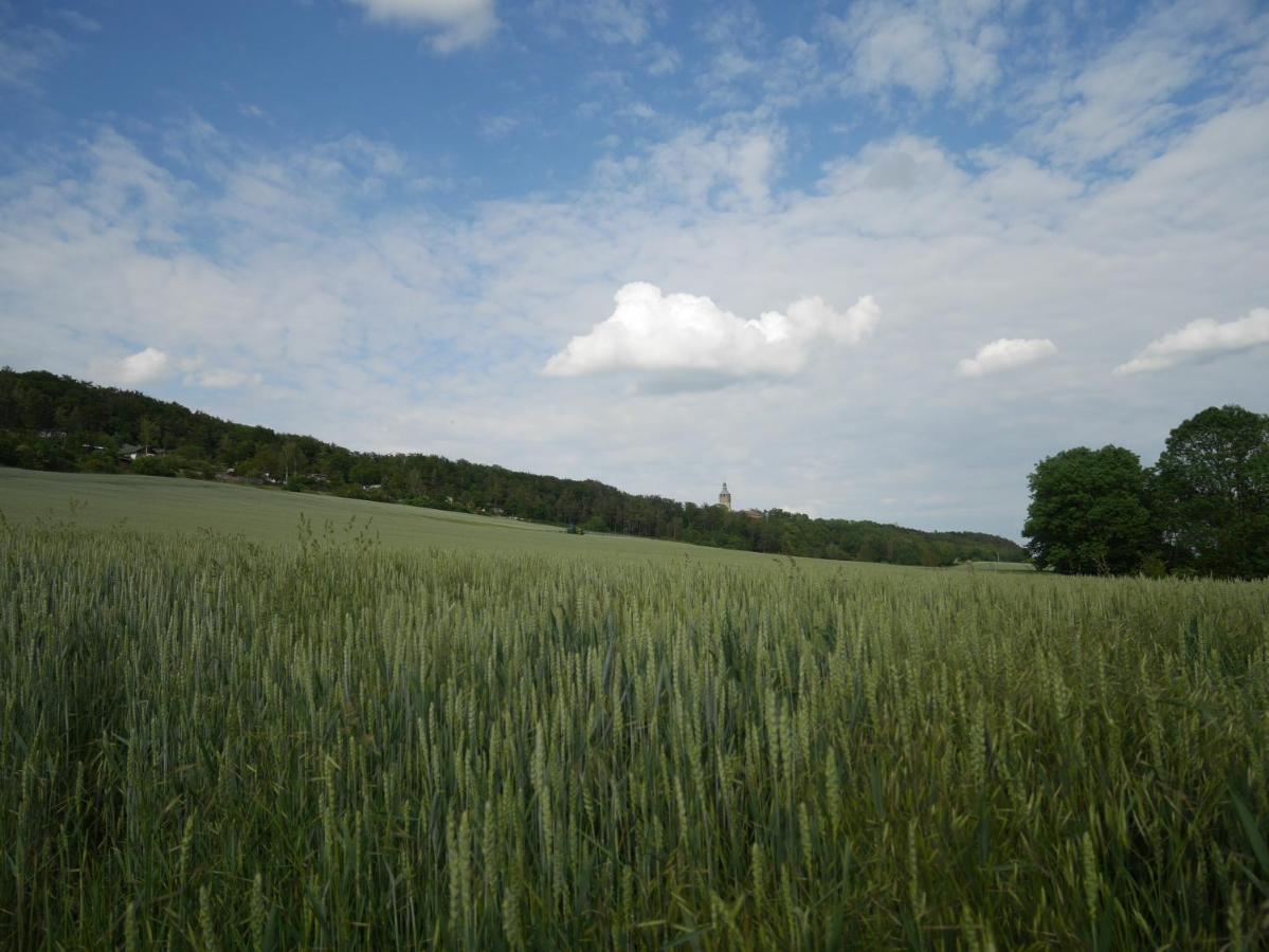 Pension Gruenes Herz Tonndorf Esterno foto